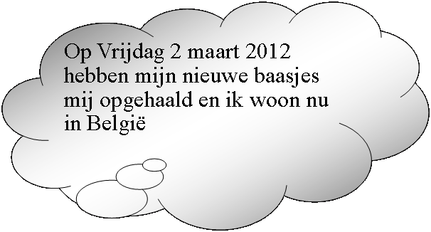 Gedachtewolkje: wolk: Op Vrijdag 2 maart 2012 hebben mijn nieuwe baasjes mij opgehaald en ik woon nu in België