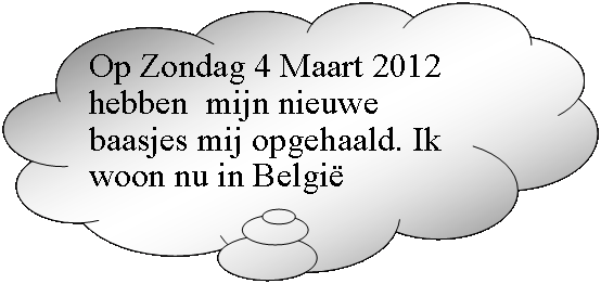 Gedachtewolkje: wolk: Op Zondag 4 Maart 2012 hebben  mijn nieuwe baasjes mij opgehaald. Ik woon nu in België